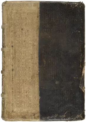Johannes Kentmann/Theophilus Kentmann: Codex Kentmanus, 1549–1583